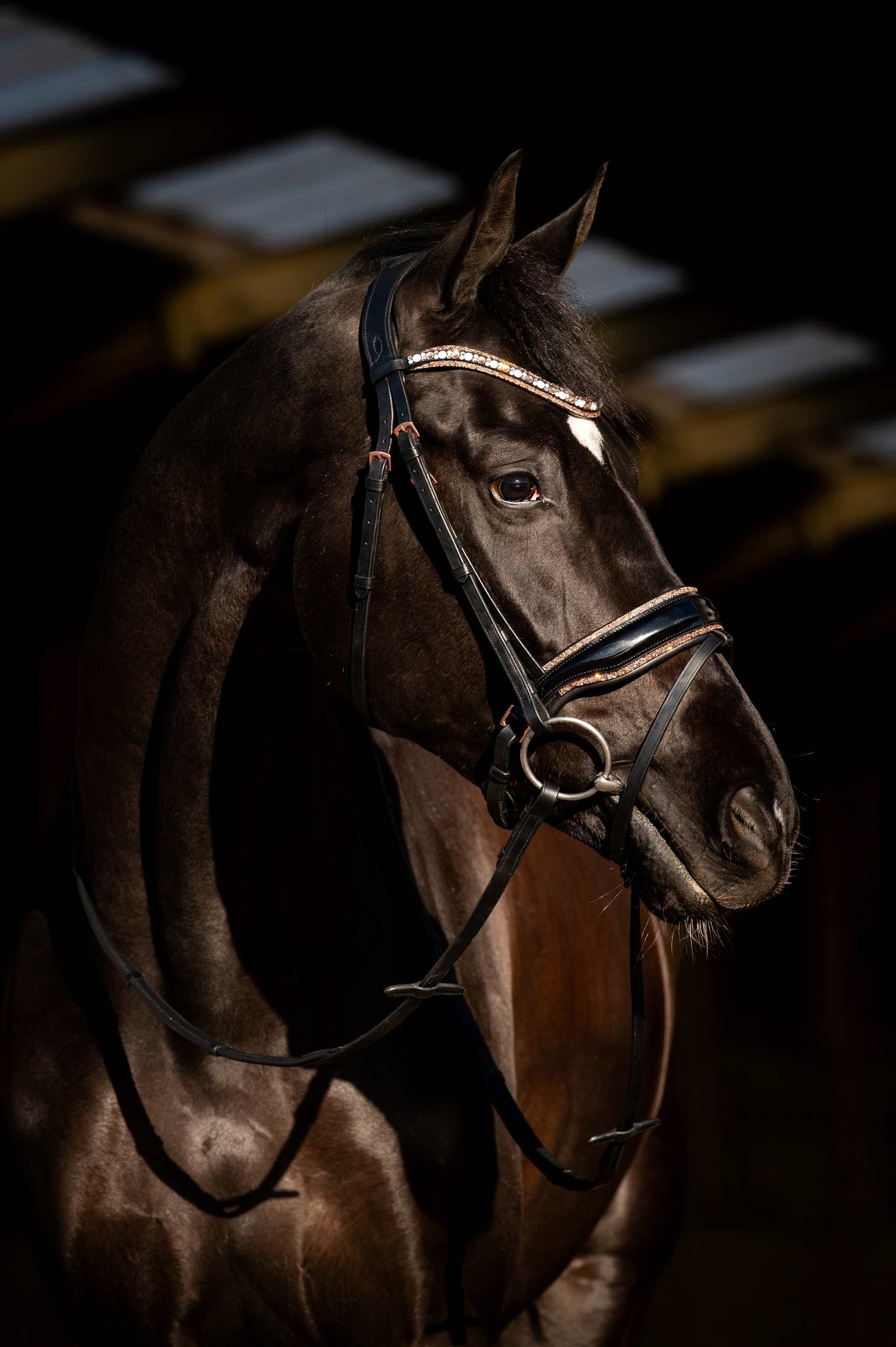 HB Showtime Hoofdstel Copper Sky