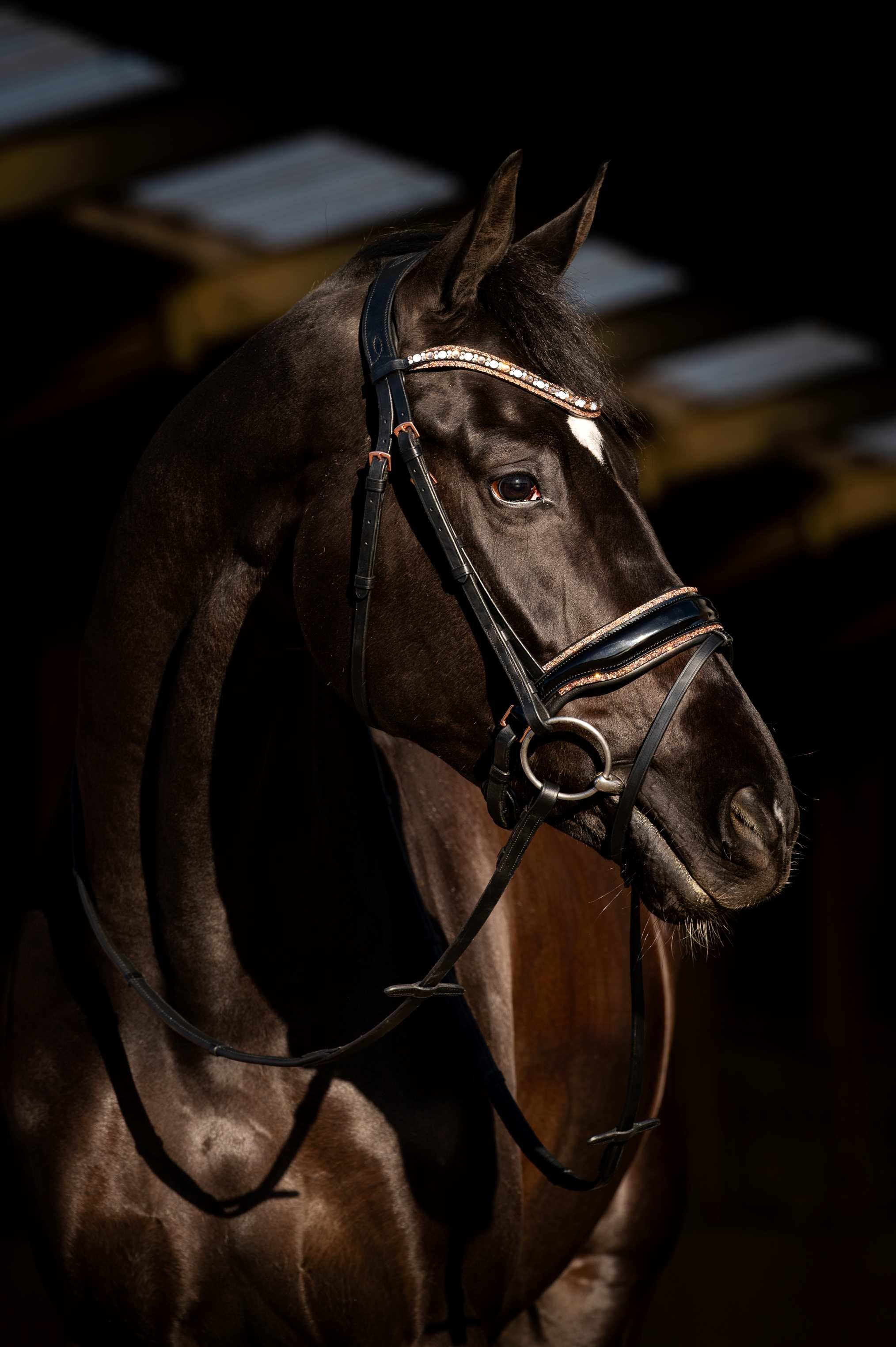 HB Showtime Hoofdstel Copper Sky