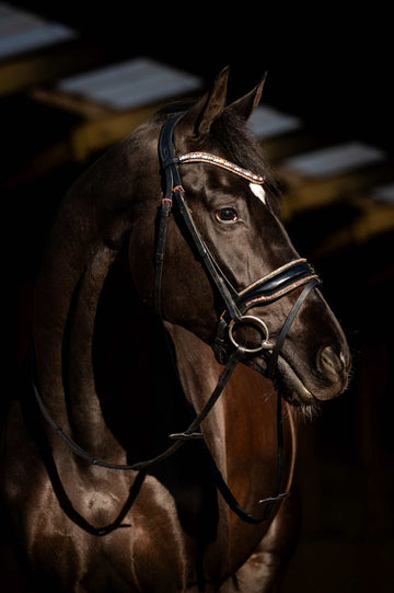 HB Showtime Hoofdstel Copper Sky