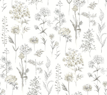 Chesapeake Wildflower Bergamot Wallpaper - Light Grey