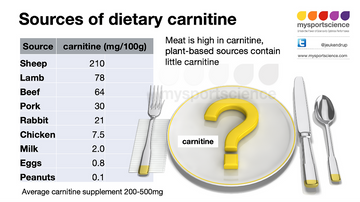 acetyl-l-carnitine food sources Acetyl-L-Carnitine: Benefits, Forms, Dosing, and Side Effects – Dr Brad