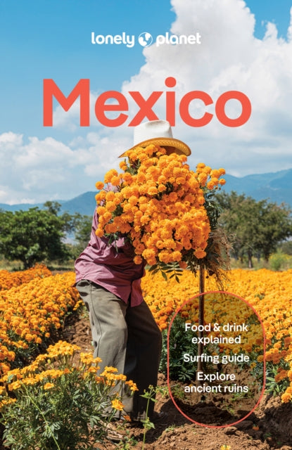 Lonely Planet Mexico : Plan the Trip of a Lifetime | Detailed Itineraries & Maps | Insider Tips | Covers ETulum, Oaxaca, Copper Canyon and more - Jennifer Fernandez Solano
