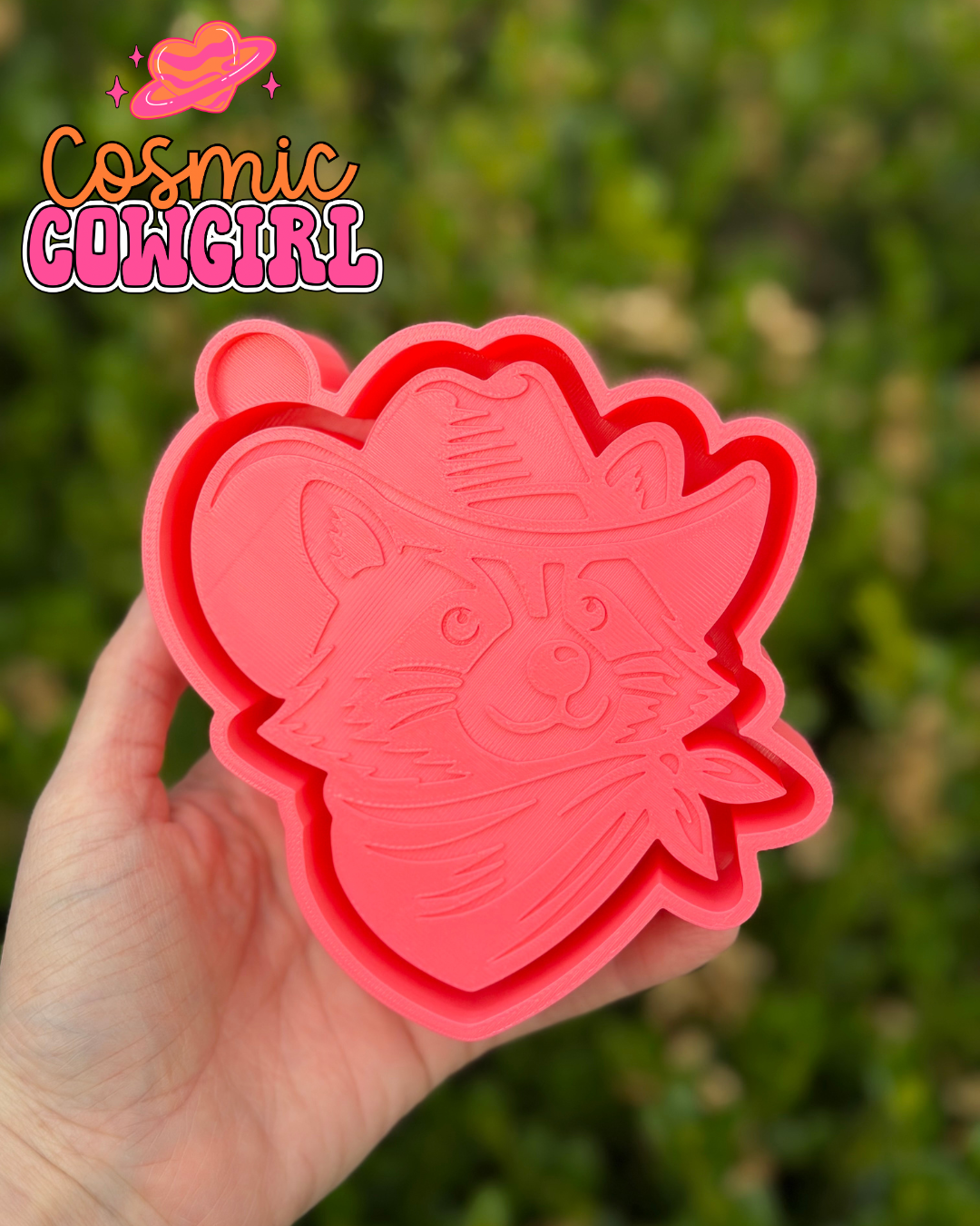 Western Raccoon - Silicone Mold
