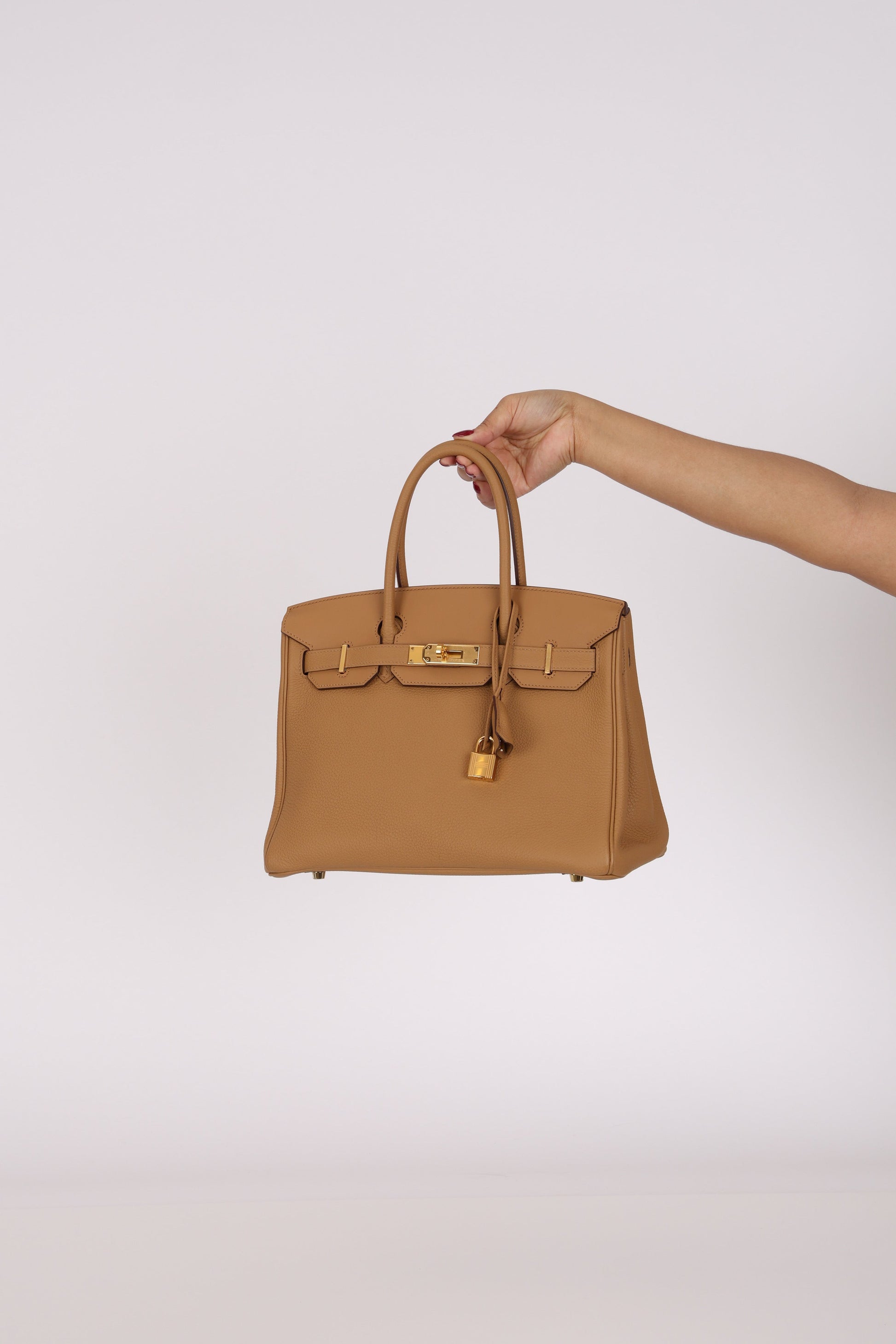 Limited Edition Hermès 3 en 1 Birkin 30 Biscuit Togo and Swift Retourne 2021 GHW