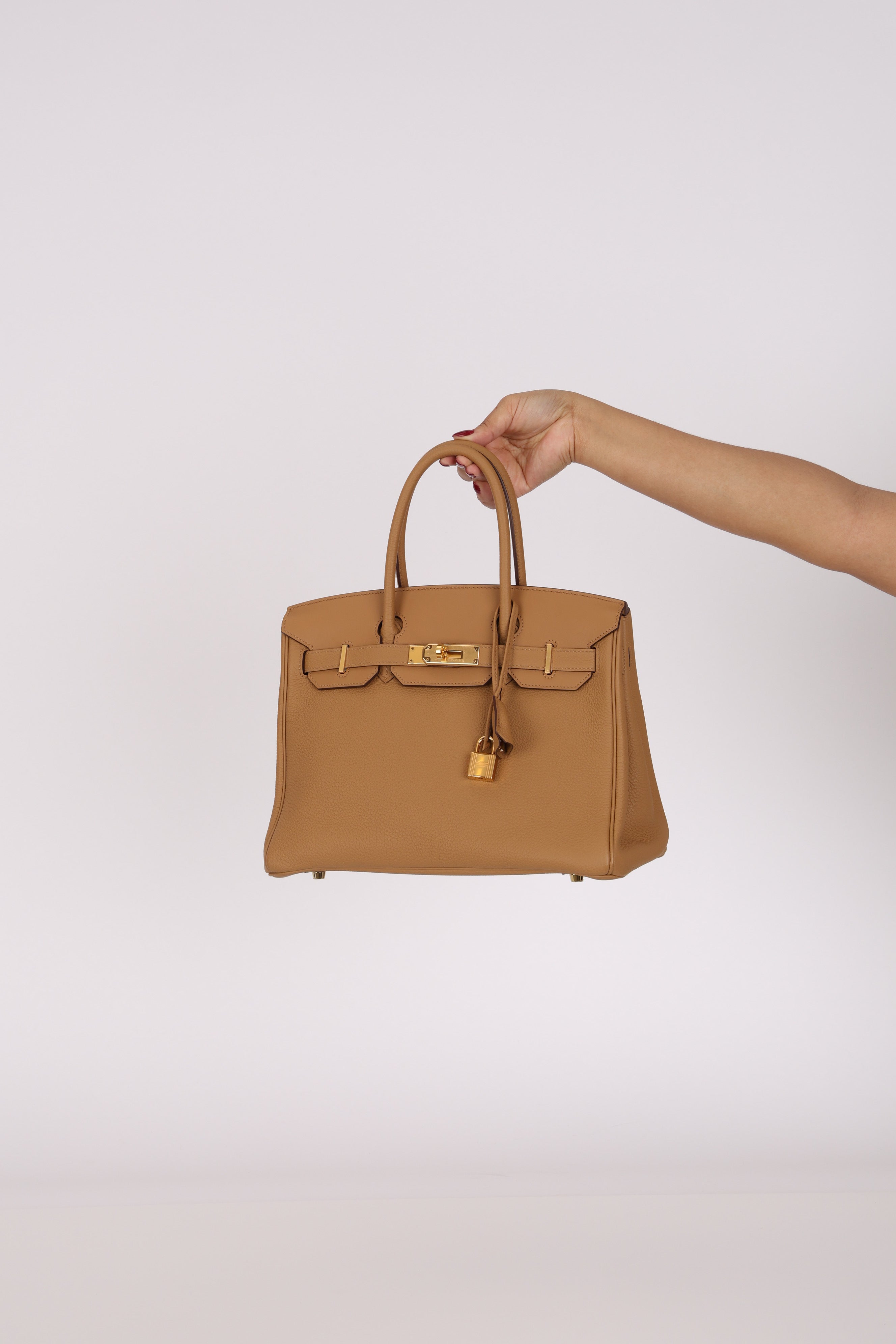 Limited Edition Hermès 3 en 1 Birkin 30 Biscuit Togo and Swift Retourne 2021 GHW