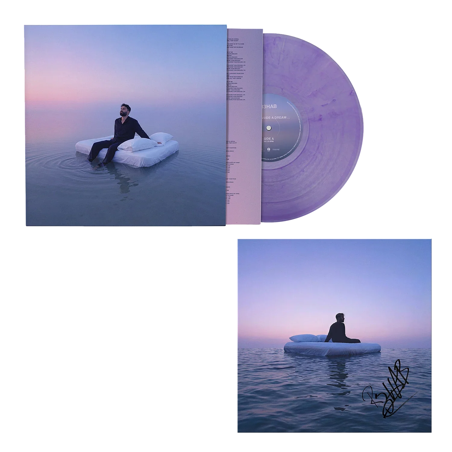 Dream inside a dream... (Store Exclusive Clear & Purple LP + Signed Art Card)