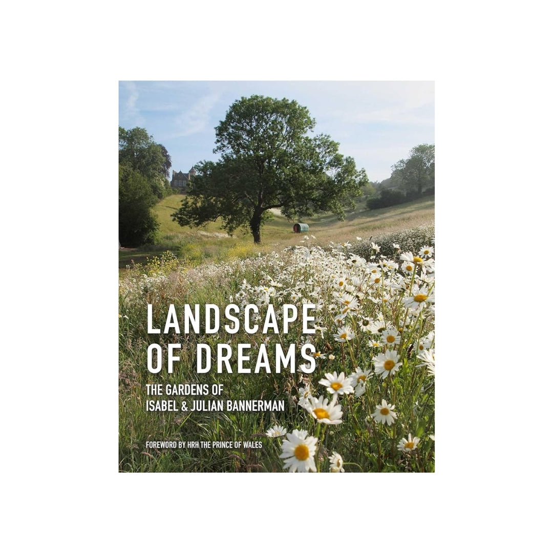 Landscape of Dreams