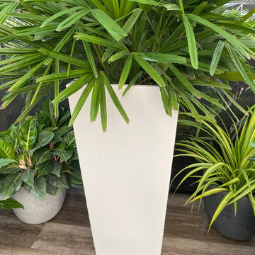 Tall Modern Planter Pot, Tapered Square Design