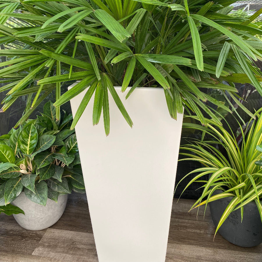 Tall Modern Planter Pot, Tapered Square Design