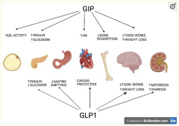 Tirzepatide vs Semaglutide | Understanding The Differences