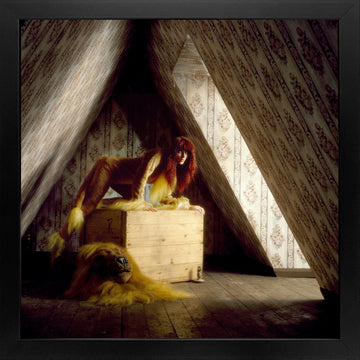Kate Bush as a lioness 1978 — Limited Edition Framed Print