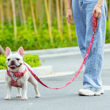 HKM-395155 Durable Polyester Rope Traction Belt for Dogs - Multiple Lengths and Colors Available
