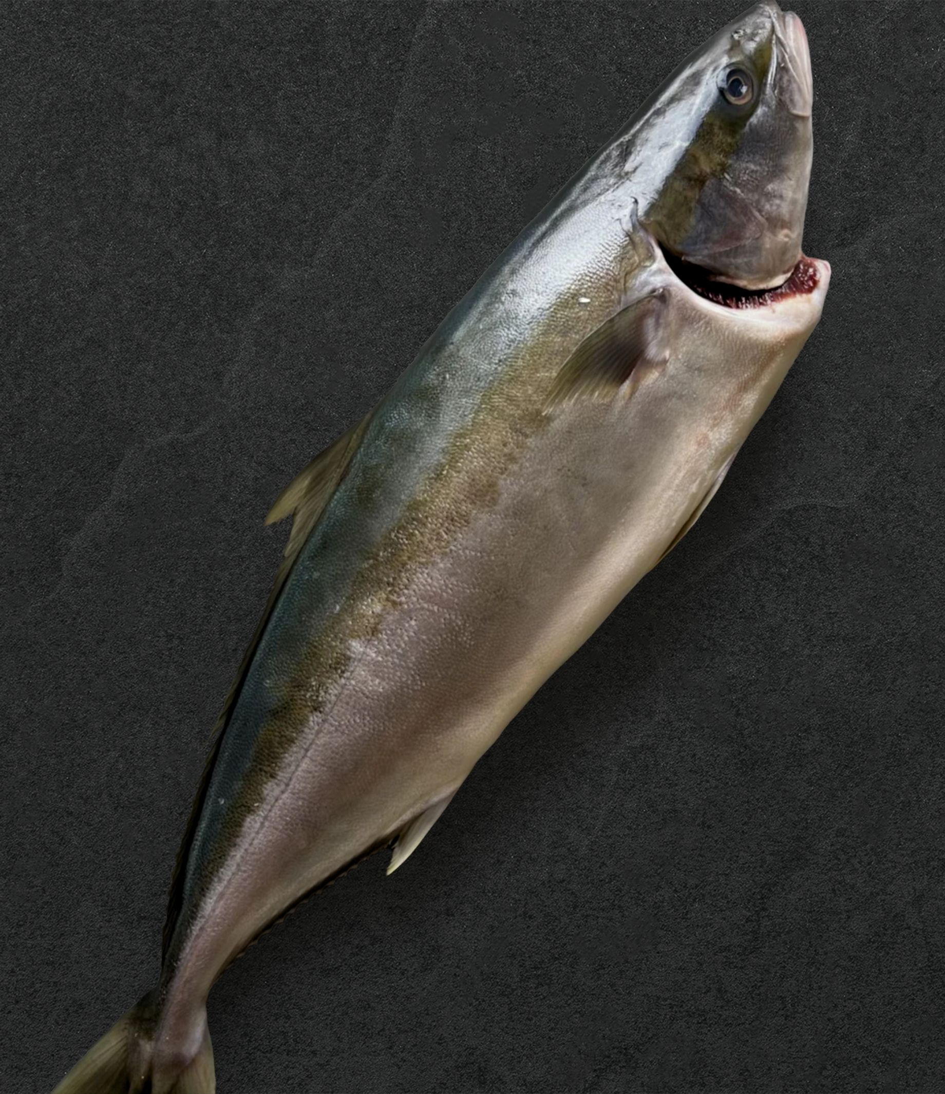 Whole Hiramasa