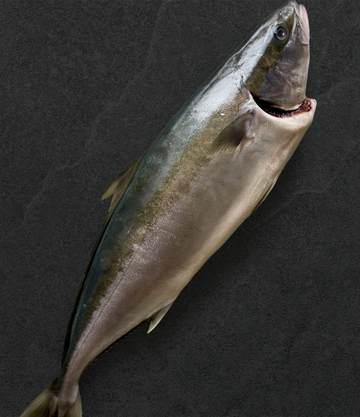 Whole Hiramasa