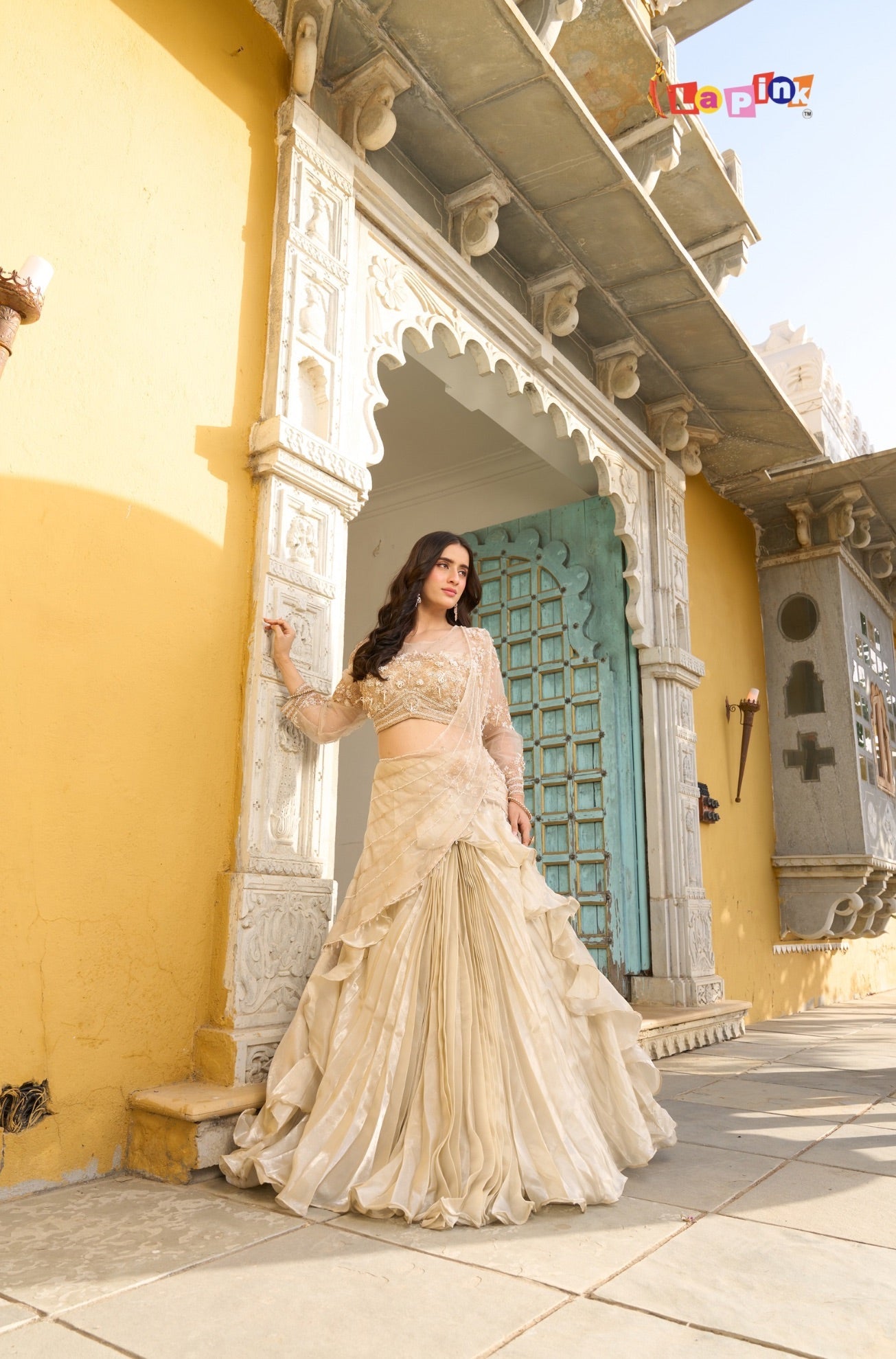Full Sleeves Net Pre-Drape Saree with Moti & Stone Work