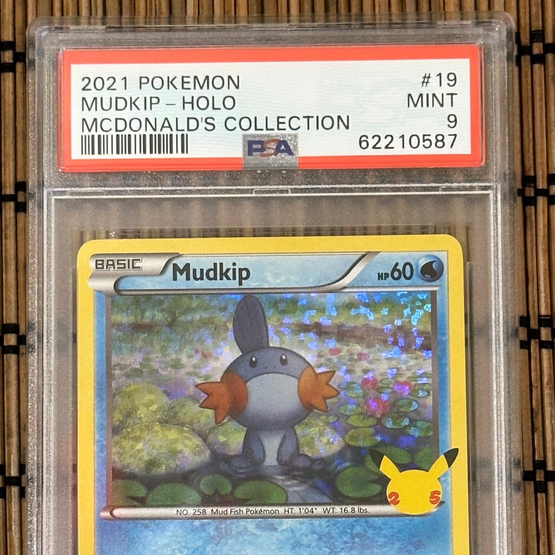 Mudkip (19/25) (PSA 9)