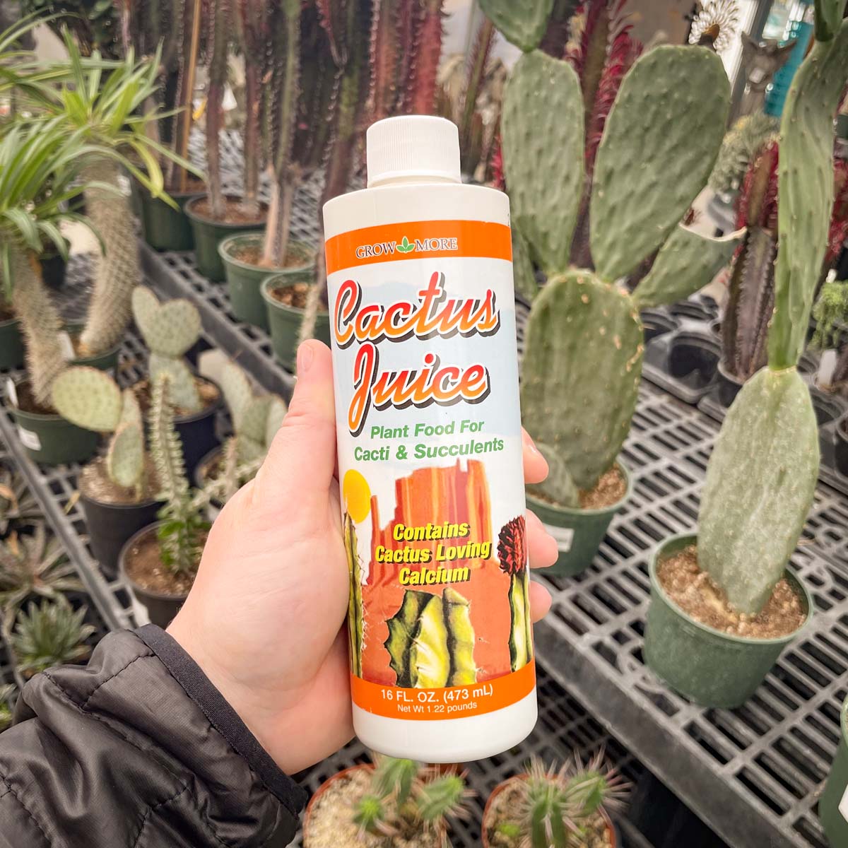 Grow More Cactus Juice Plant Food Fertilizer, 1-7-6, Concentrate, 16 oz.