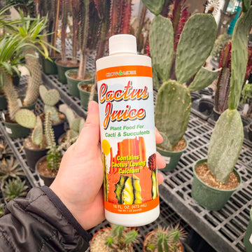 Grow More Cactus Juice Plant Food Fertilizer, 1-7-6, Concentrate, 16 oz.