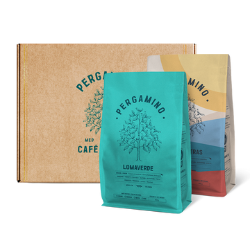 Kit Pergamino - Dos Bolsas de Café 360g