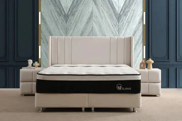 Lit Coffre Alma Velours beige Swedzo-Meuble