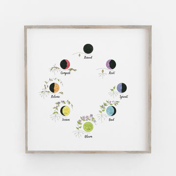 Lunar Phases (Southern Hemisphere)