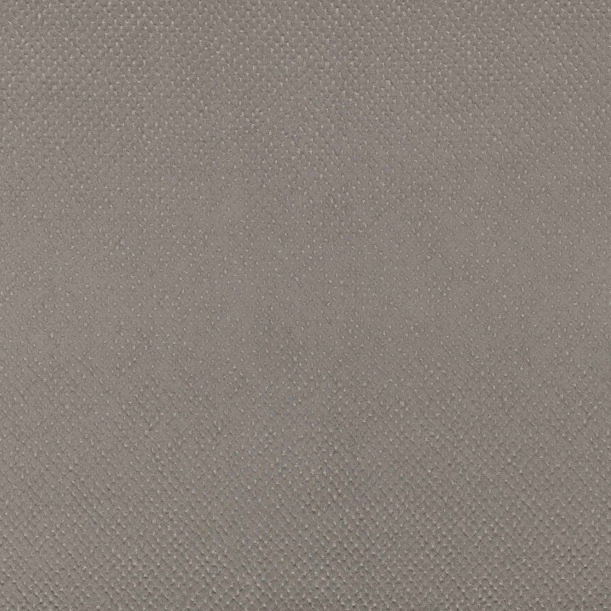 Zinc Textiles Roxy Tungsten