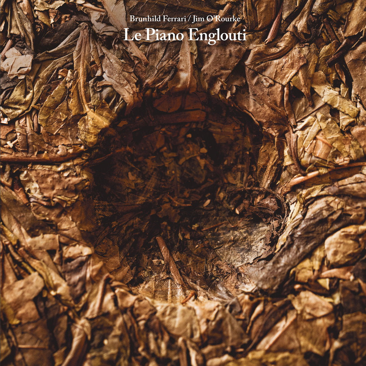Brunhild Ferrari & Jim O'Rourke - Le Piano Englouti LP