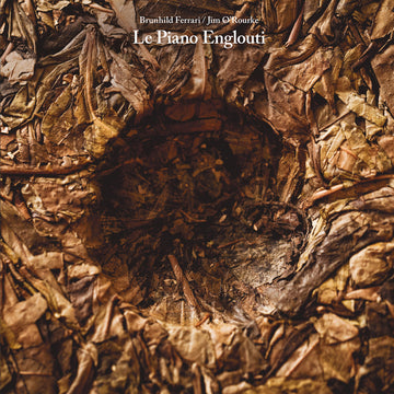Brunhild Ferrari & Jim O'Rourke - Le Piano Englouti LP