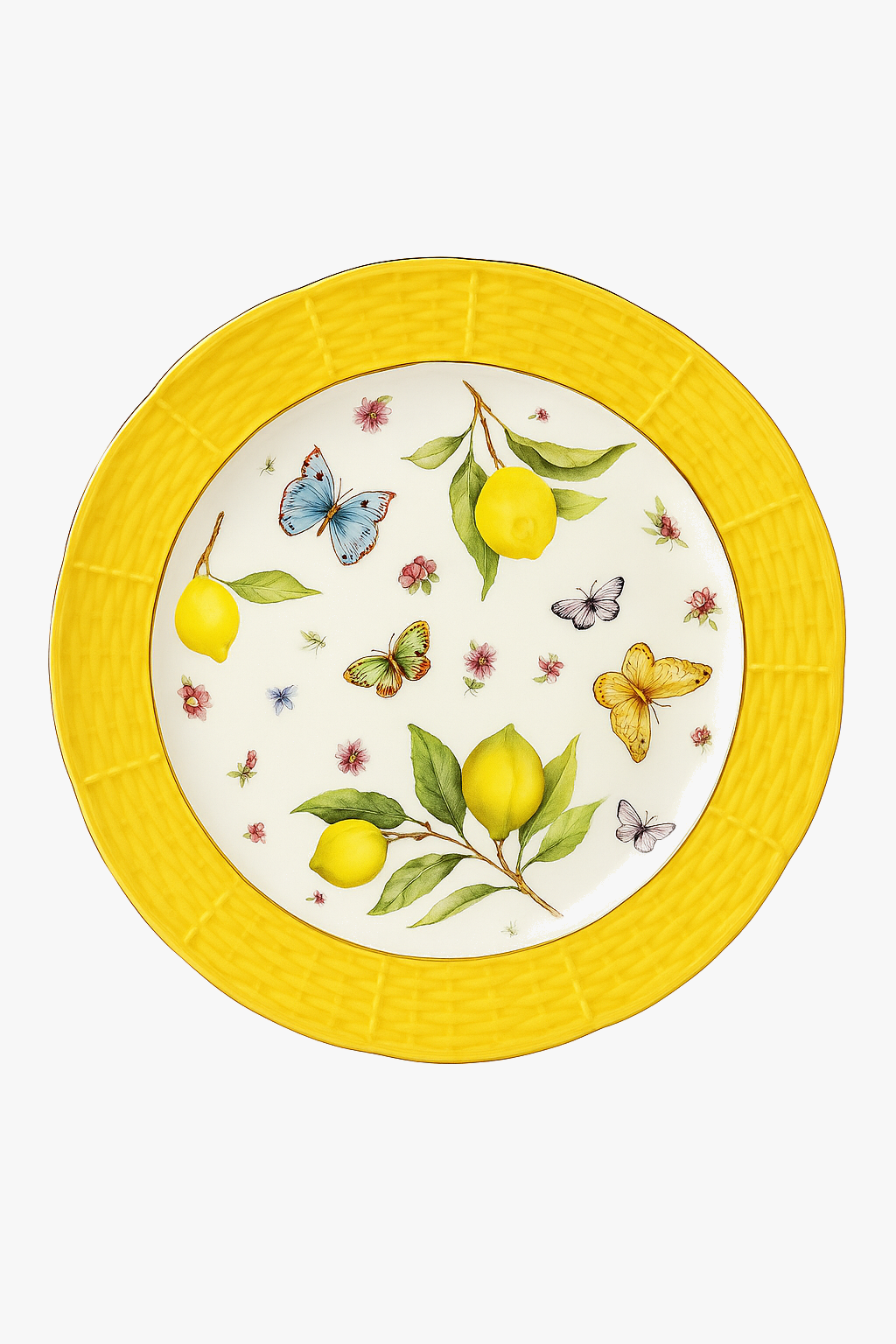 assiette-ceramique-motif-citron-style-europeen-cuisine-decoratif-0.png