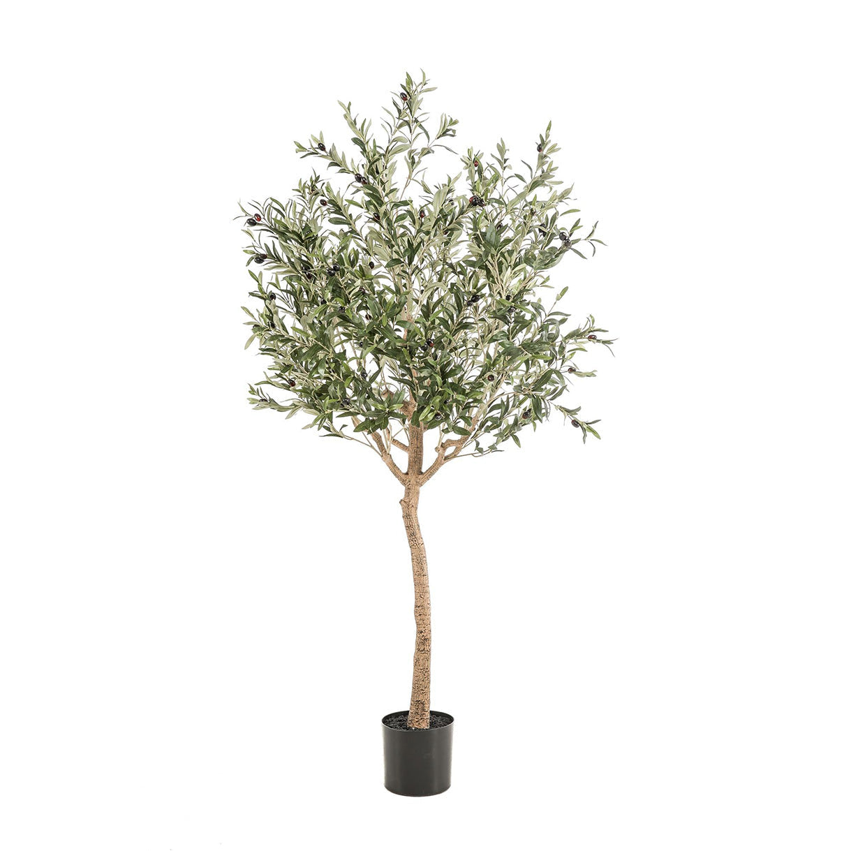 Kunstpflanze – Olea Europaea – Olivenbaum – 180 cm