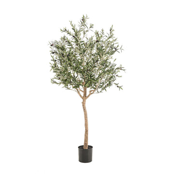 Kunstpflanze – Olea Europaea – Olivenbaum – 180 cm