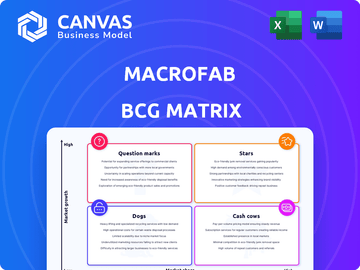 MacroFab BCG Matrix