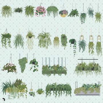 Flat Vector Hanging Plants – Toffu AI PSD PNG DWG digital downloads