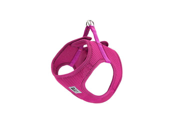 RC PETS Solid Step In Cirque