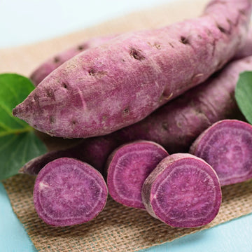 Organic Purple Sweet Potato Yams - 5 Pounds - Ready to Grow - Ipomoea batatas