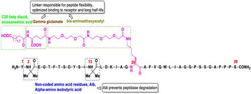 Overview of Tirzepatide and Semaglutide