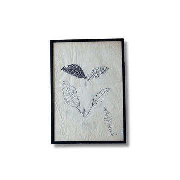 The Leaves