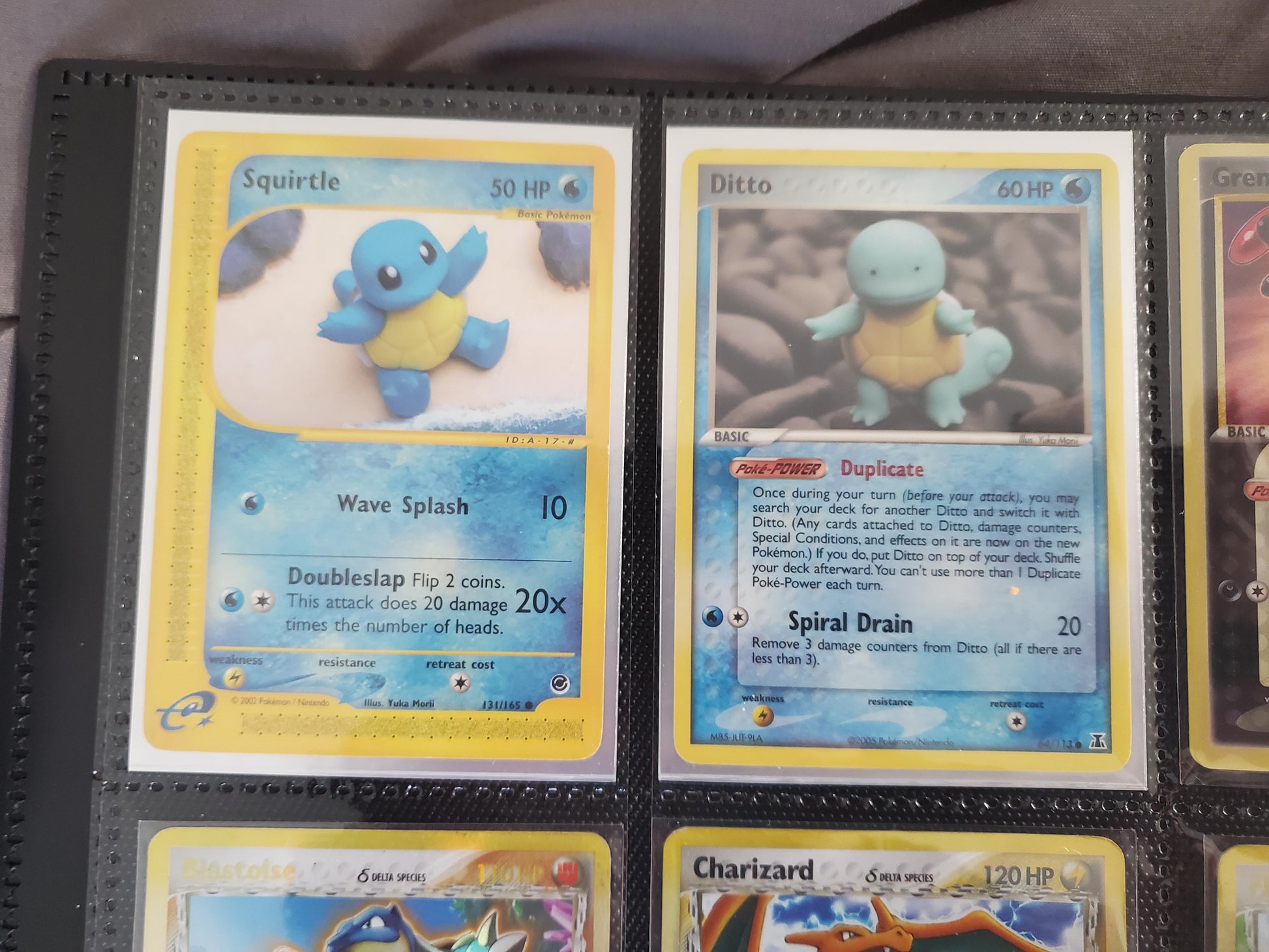 Welcome home beautiful!! 😍 and now with this card my squirtle collection is finally complete! : r/PokemonTCG